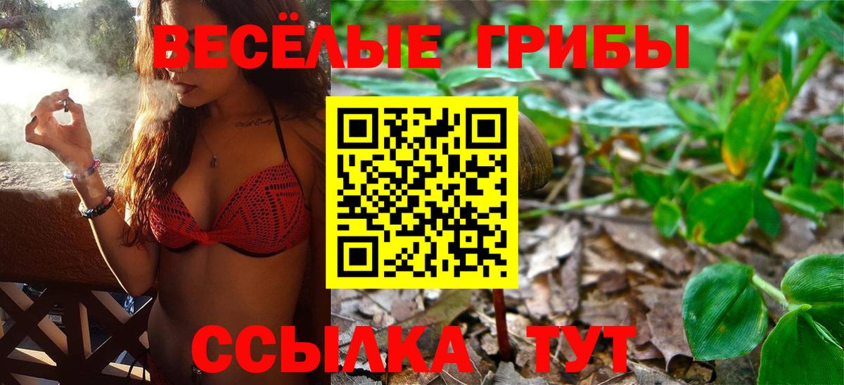 Псилоцибиновые грибы Cubensis Мытищи