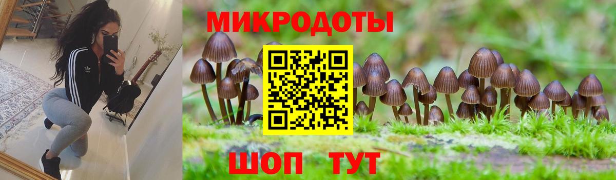 Галлюциногенные грибы ЛСД  даркнет сайт  Мытищи  Вход с VPN 